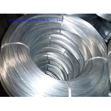 Electro Galvanized Wire